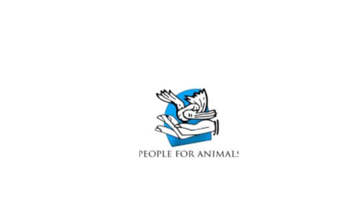 Law/LegaI JOB POST: Animal Cruelty Response Coordinator at People for Animals, Delhi: Apply Now!