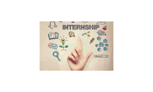Law/Legal Internship Opportunity with Adv Harshika Pareek: Apply Now!